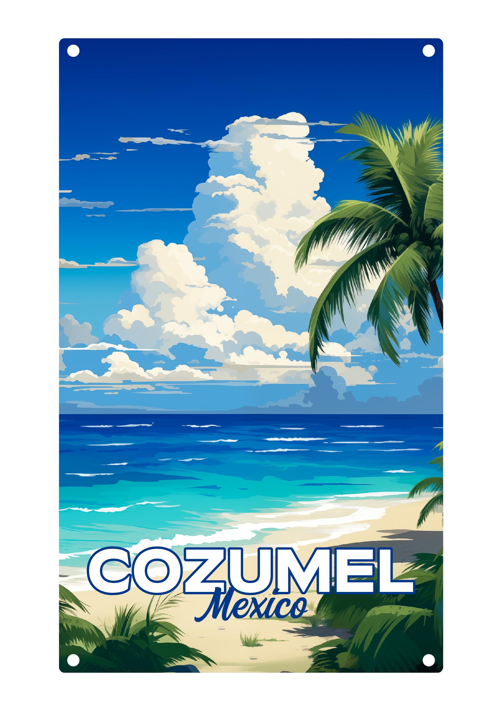 Cozumel Mexico Design C Souvenir Metal Sign 9 x 15