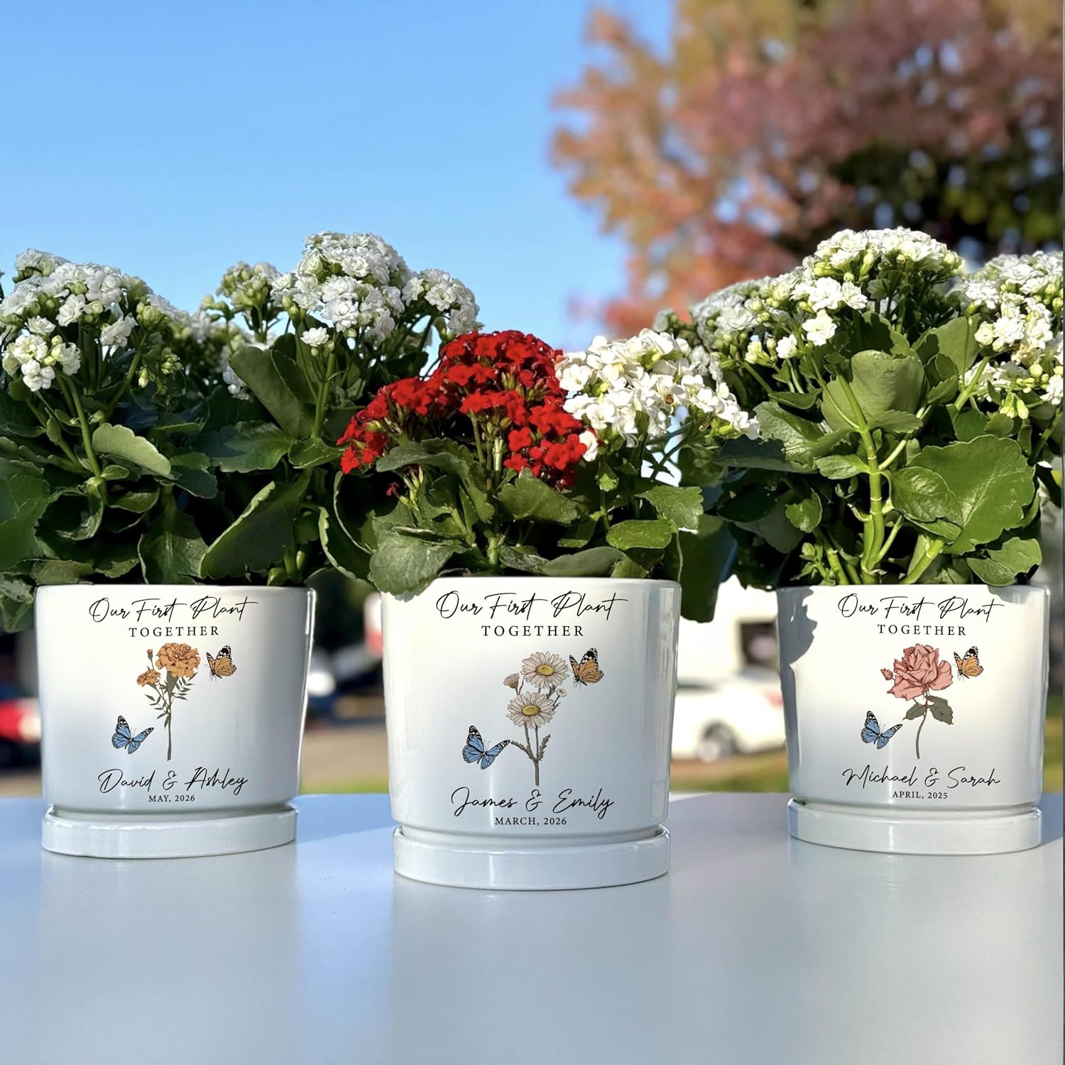 Personalized Couple Planter with Names Date, Custom Birth Month Flower Plant Pot, Engagement Gift, for Couple, Ceramic Indoor Outdoor Flower Pot