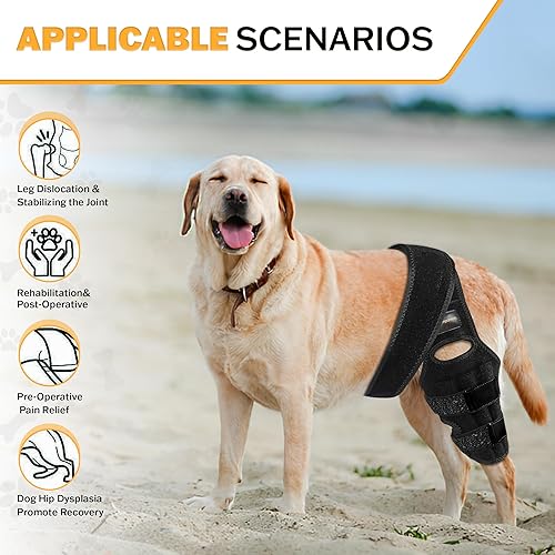 Miniatura 4 de Rodillera mediana para perro para desgarro del ligamento cruzado anterior, soporte ajustable para la pierna trasera del perro, rodillera para perros