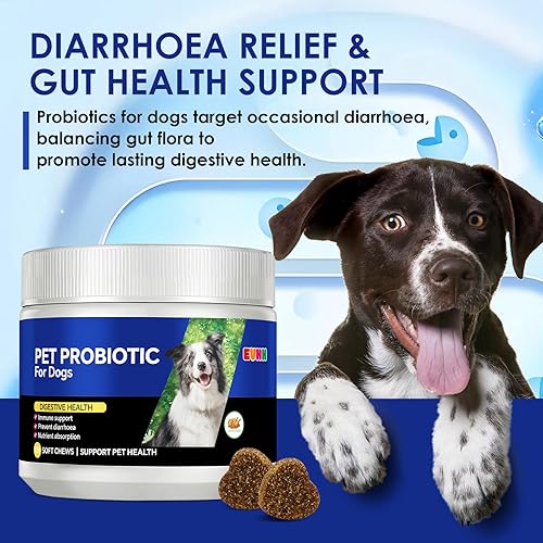 Miniatura 5 de Probióticos para perros con enzimas digestivas y prebióticos - Alivio de la diarrea, apoyo a la salud intestinal, función inmune y antipicazón,