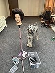 Review Image by The Lonz