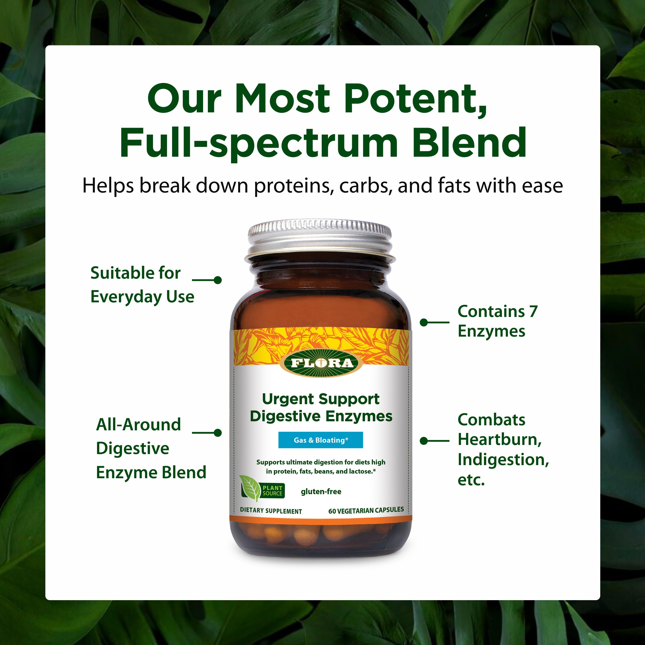 Amazon.com: Flora - Advanced Adult Enzyme Blend with Lactase