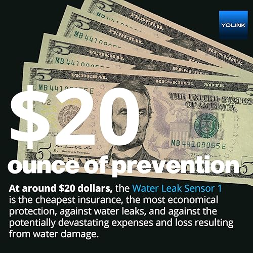 Miniatura 9 de YoLink Detector de fugas de agua 4 con alarma de audio de 105 dB, advertencia de congelación, notificaciones push de la aplicación, alertas