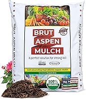 Brut Organic Aspen Mulch 10 Quarts - Odor-Free Moisture Retainer, Weed Suppressant & Nutrient-Rich Bark for Gardens & Pots