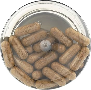 Amazon.com: Nature's Life Aloe Vera Inner Leaf | Skin Health