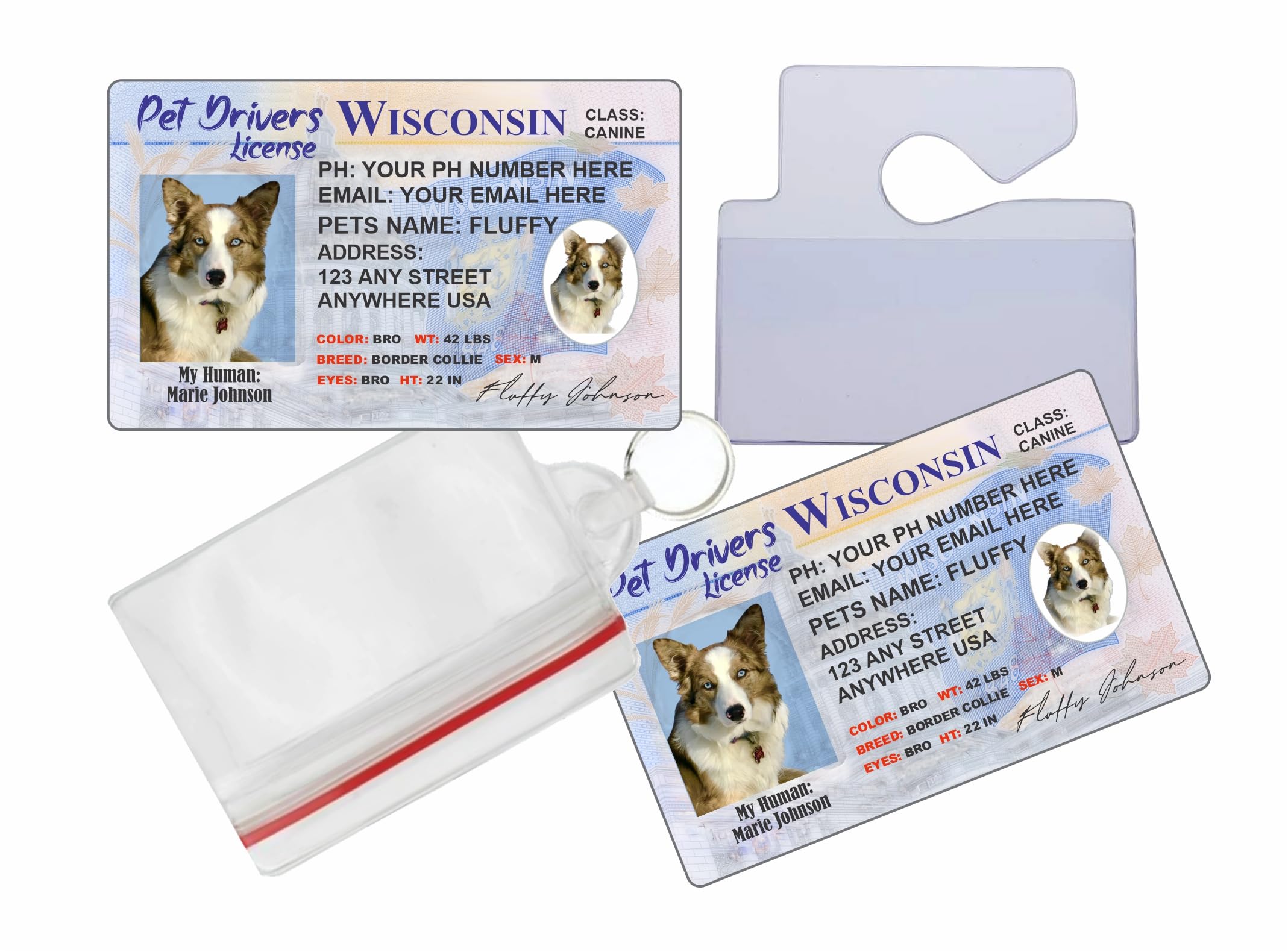 Wisconsin Pet Drivers License - x 2 Full Sized Cards - Pet Identification Tags - Personalized ID for Dogs, Cats or Any Pet - Accessories Included