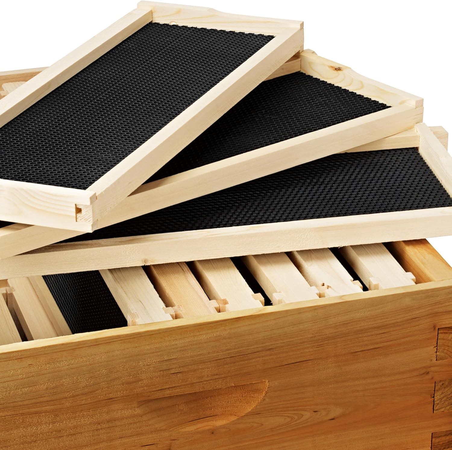 Honey Keeper 100% Beeswax Beehive 10 Frame Kit Super Box and 10 Deep Frames with Foundations for Langstroth Beekeeping