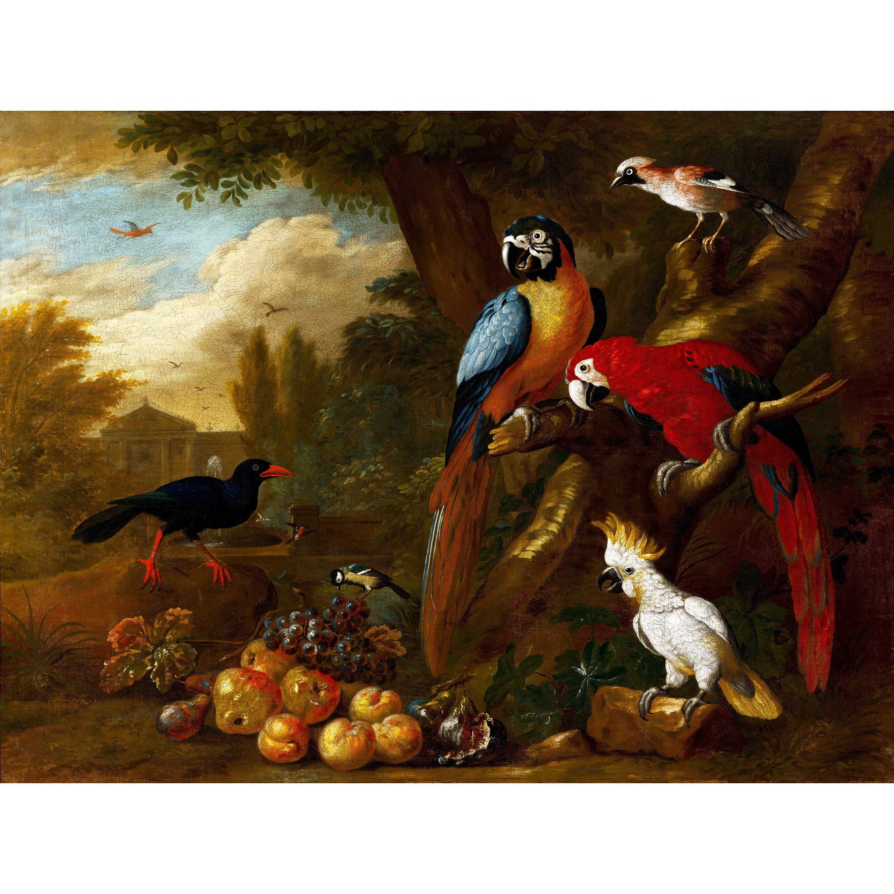 Wee Blue Coo LTD PAINTING BOGDANI TWO MACAWS COCKATOO JAY FRUIT ART PRINT PICTURE POSTER HP2929