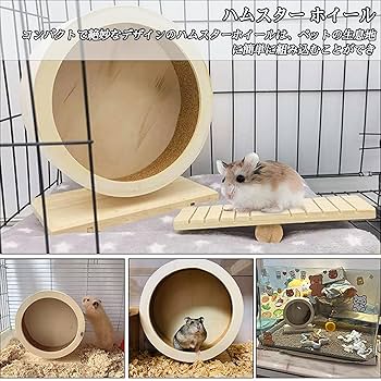Amazon.co.jp: ハムスター 回し車 静音 静か 大きい ハムスター