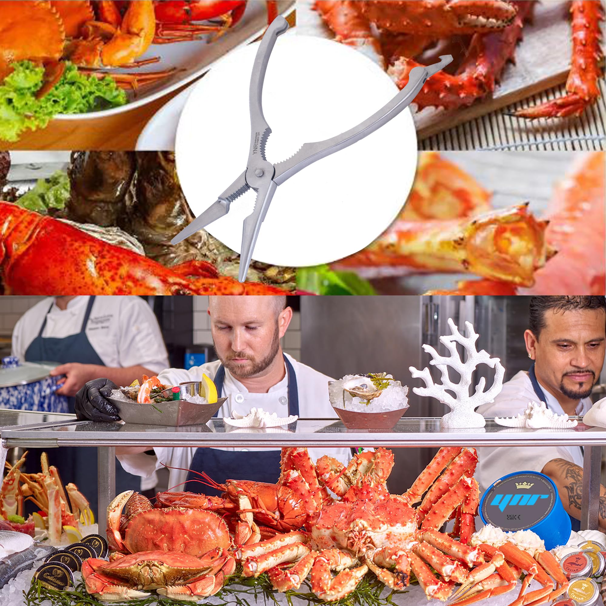 Pince à homard et ouvre-crustacés - Outil professionnel pour fruits de mer - 18,5 cm - Acier inoxydable - Ustensiles de cuisine polyvalents - Expérience de fruits de mer de luxe