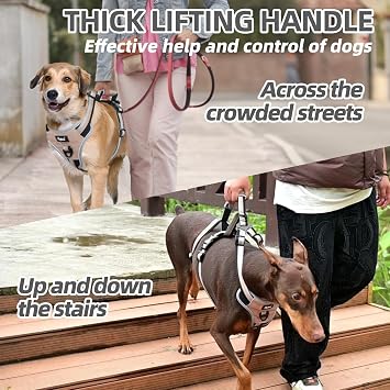 PUPTECK Escape Proof Dog Harness with Padded Handle, No Pull Pet Vest Harness Durable Reflective for Medium Large Dogs Walking Training and Running, Moccasin, L