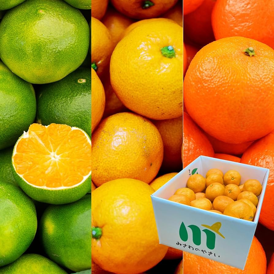 Amazon.co.jp: [みさわのやさい] みかん 3kg 訳あり 有田みかん 和歌山