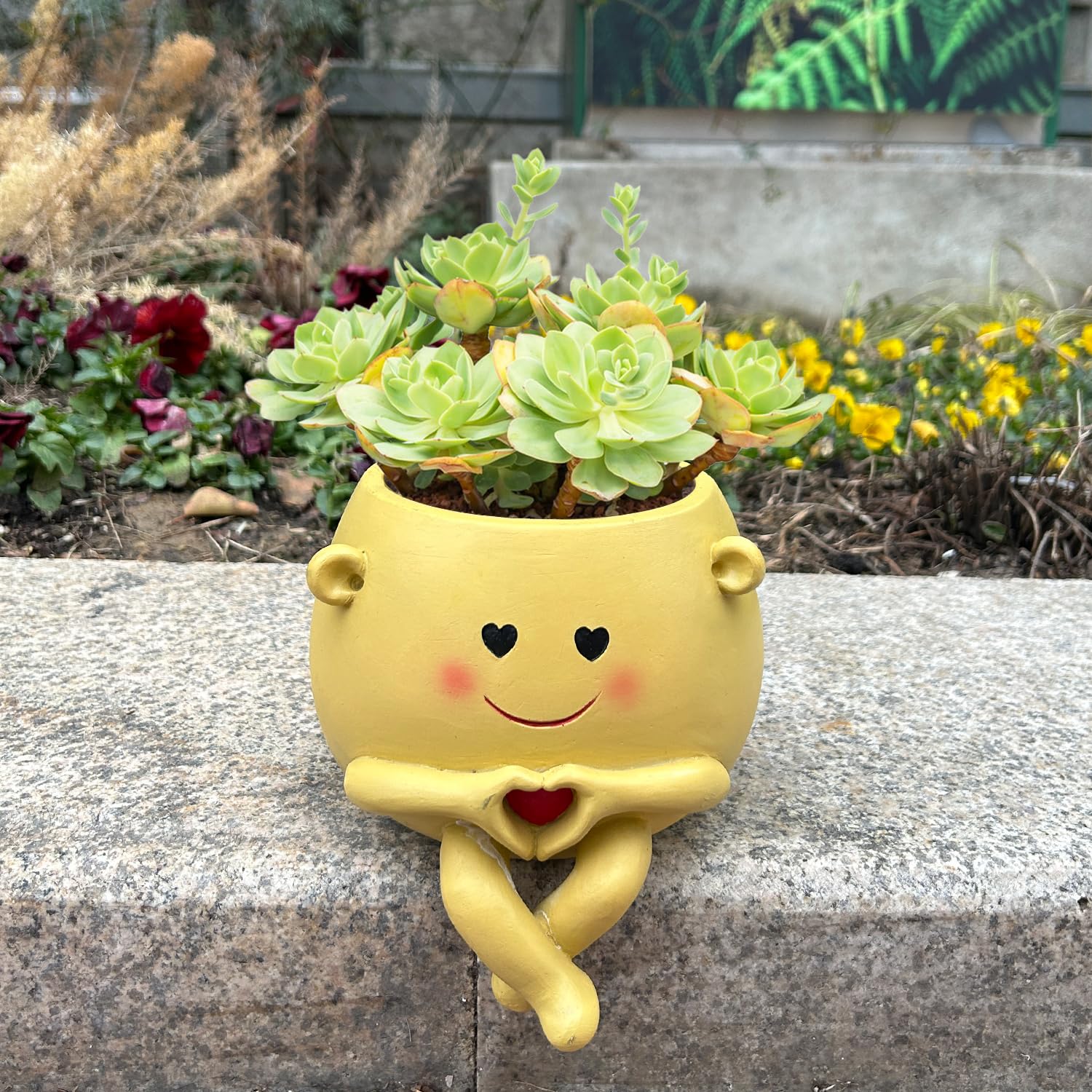 Amazon.com : Lovely Ran Large Smile Face Planter Pot with Holes