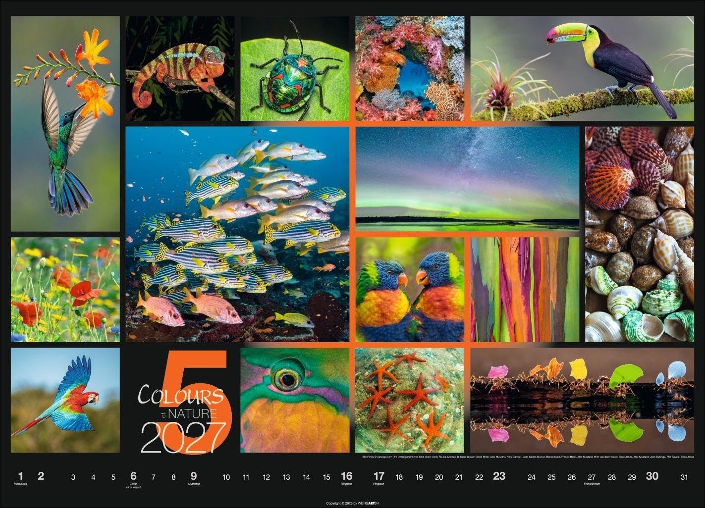 Colours of Nature Kalender 2027: Großer Foto-Wandkalender im Querformat 68 x 49 cm. Natur-Kalender 2027 mit harmonischen Bild- und Farbkompositionen für jeden Monat.