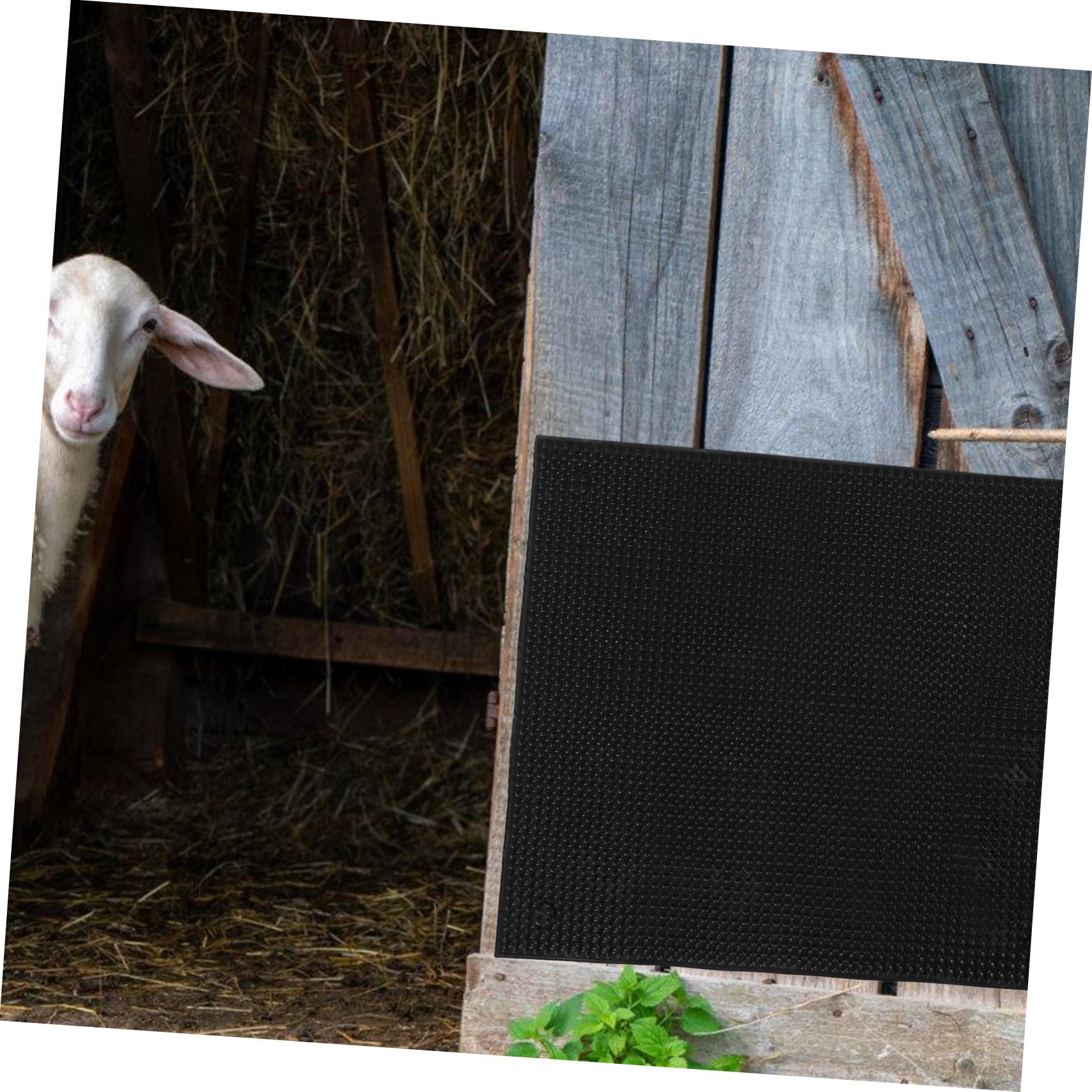 Spazzola per Animali da Fattoria Tappetino Antiprurito per Bovini e Accessorio per Prurito Setole Morbide per Comfort Ottimale per Gestione Agricola
