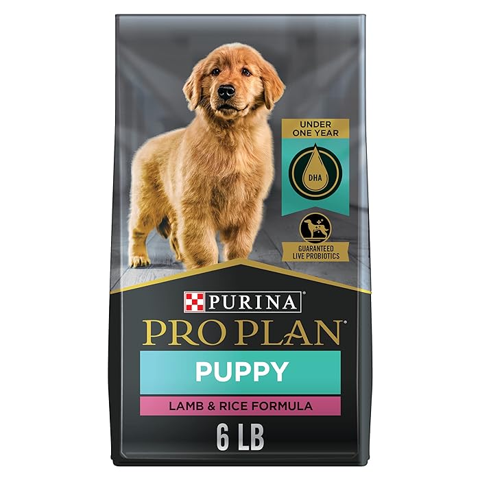 Buy Purina Pro Plan High Protein Puppy Food DHA Lamb & Rice Formula 6