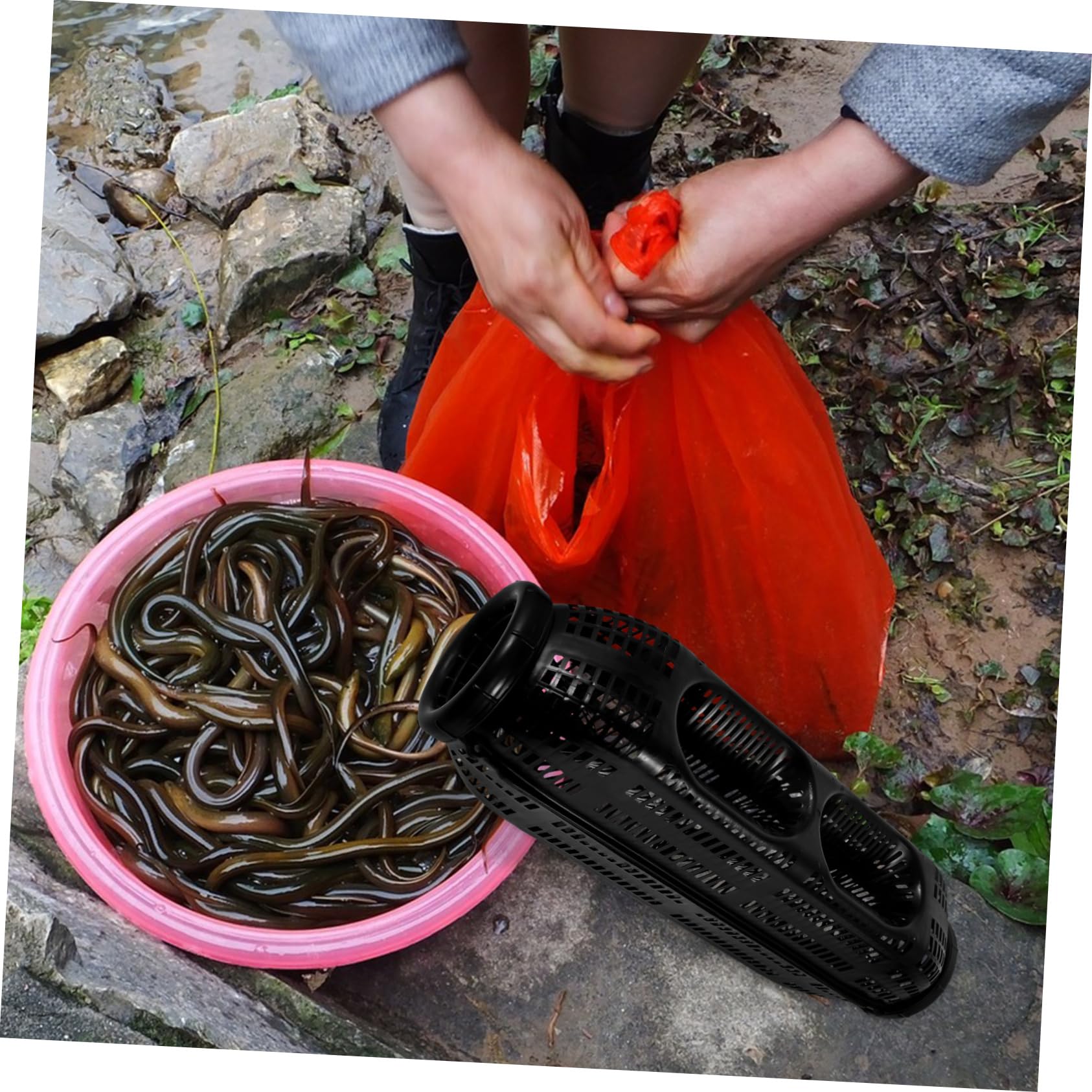 ibasenice gabbia di anguille gabbia di pesca portatile rete per anguille e gamberetti gabbia per esche per lanciatore di esche porta esche da pesca all'aperto plastica Black