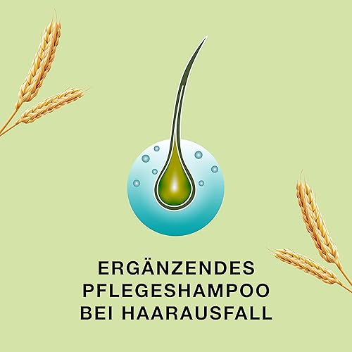 Miniatura 2 de Bayer Priorin Champú Champú para la caída del cabello Cabello seco y normal 6.8 fl oz6.8oz