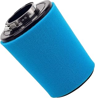 Road Passion Air Filter 0800-112000 Replacement for CFMoto ZForce 800-EX EPS UTV 2020/ CFMoto ZForce 800-EX SSV 2016-2017