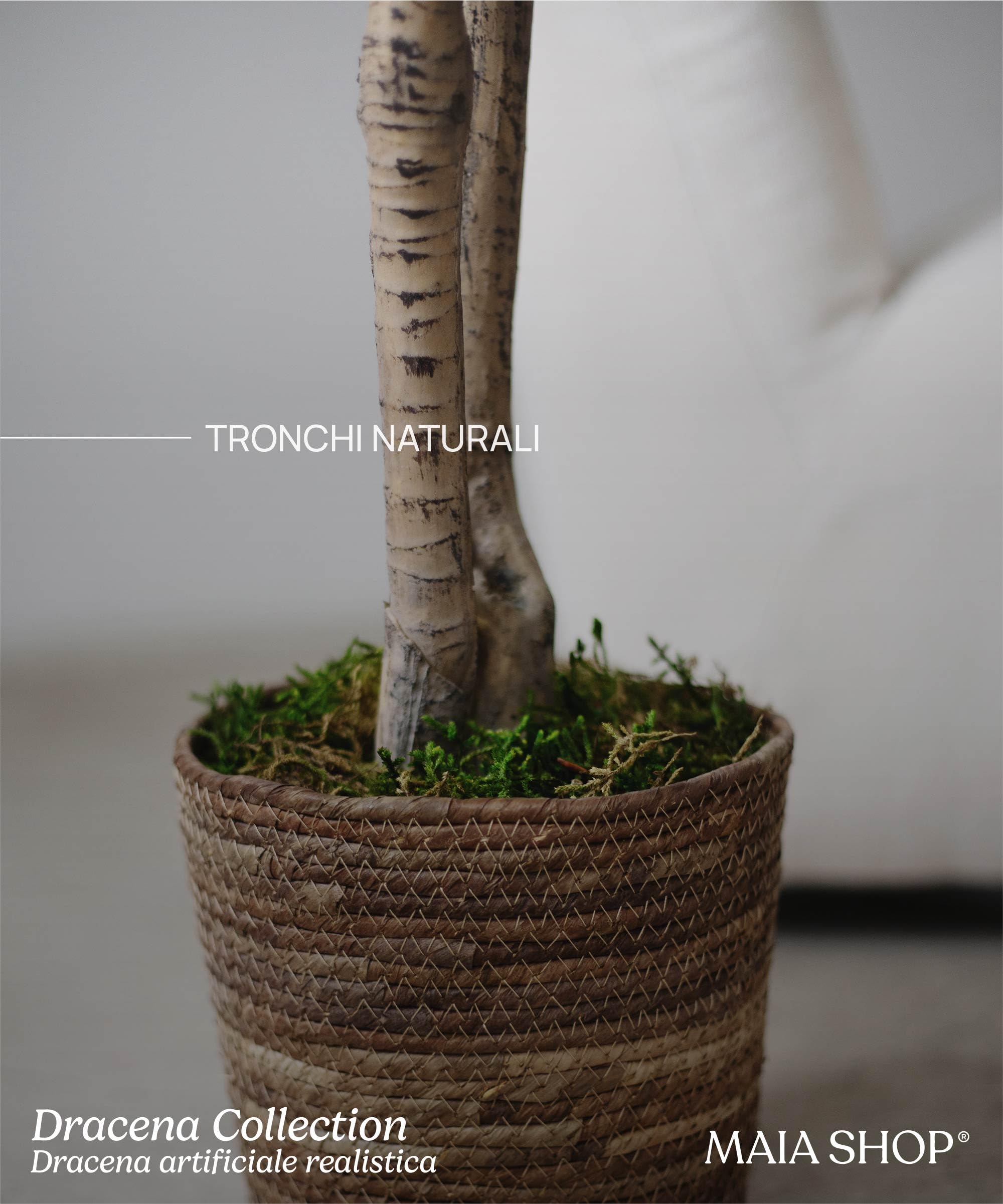 MAIA SHOP Dracaena artificiale 120 cm, pianta finta decorativa iperrealistica, albero tropicale per casa ufficio hotel e interni coperti