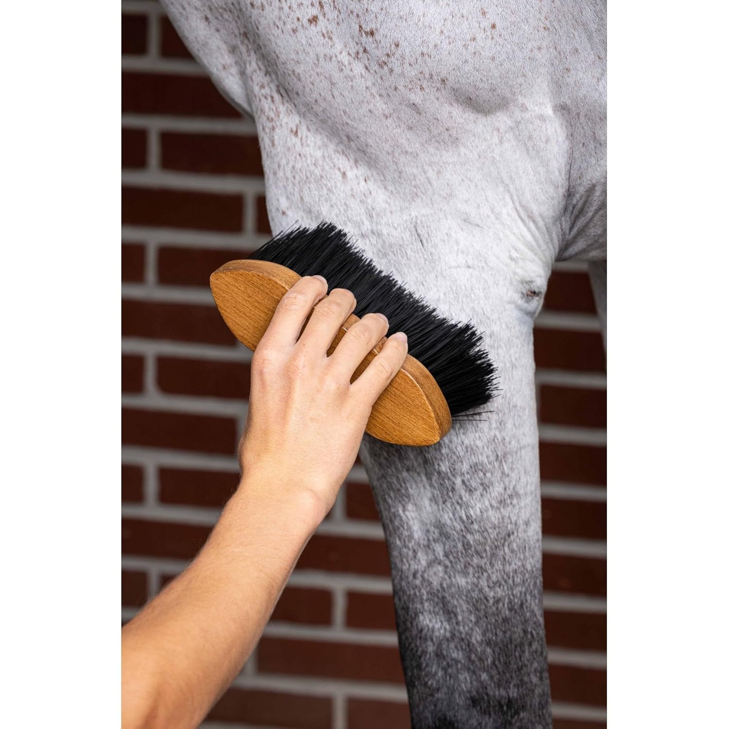 LeMieux Artisan Flick Brush - Brown