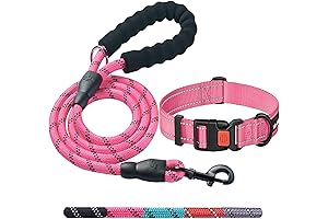 Pink Heavy Duty Dog Leash & Collar Combo for Small, Medium, & Large Dogs