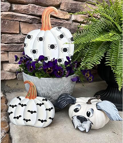 Miniatura 3 de The Round Top Collection - Piezas para cachorros peludos, S5