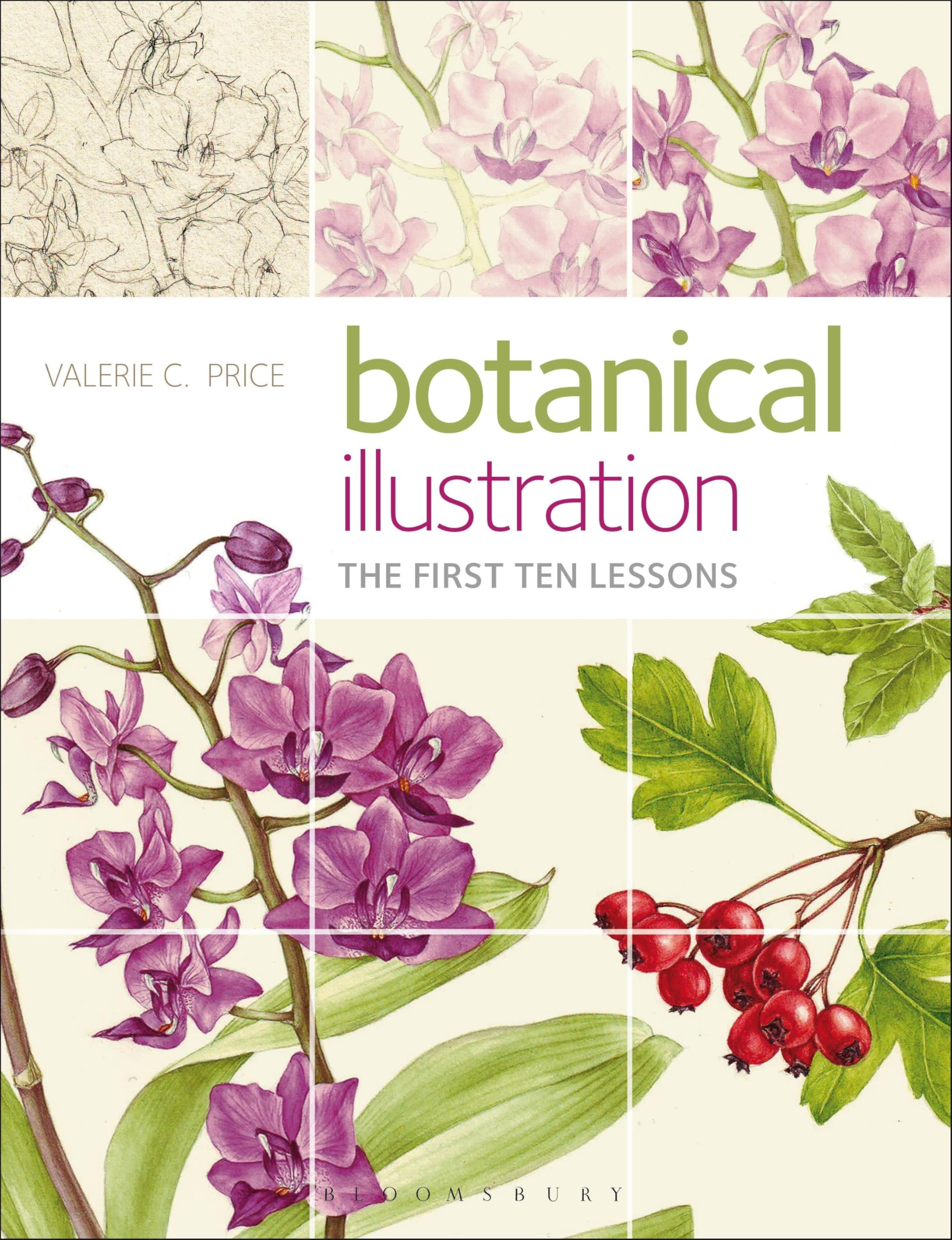 Botanical Illustration: The First Ten Lessons by Valerie Price (Paperback, 2017)