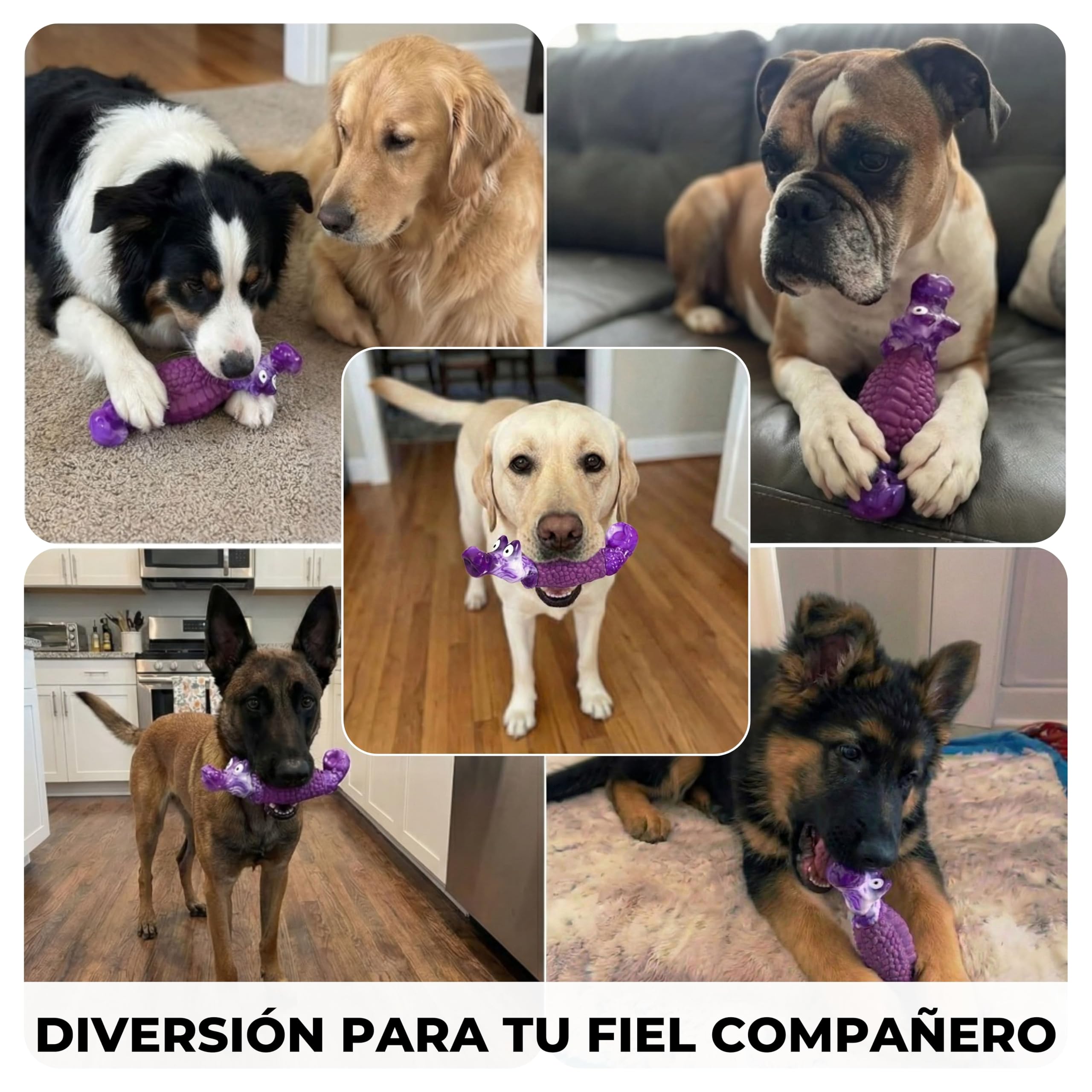 Zenir Juguete Perro Indestructible Cocodrilo con Aroma a Bacon | Juguetes para Perros Masticadores Agresivos Antiestres y Ansiedad | Mordedor Perro Resistente. Juguetes Perros Grandes y Medianos — view 8