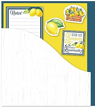 1963年　ル・フーケ　メニューes Redon 3枚　セット Deluxe Recipe Binder - Favorite Recipes (Lemons) - Write In