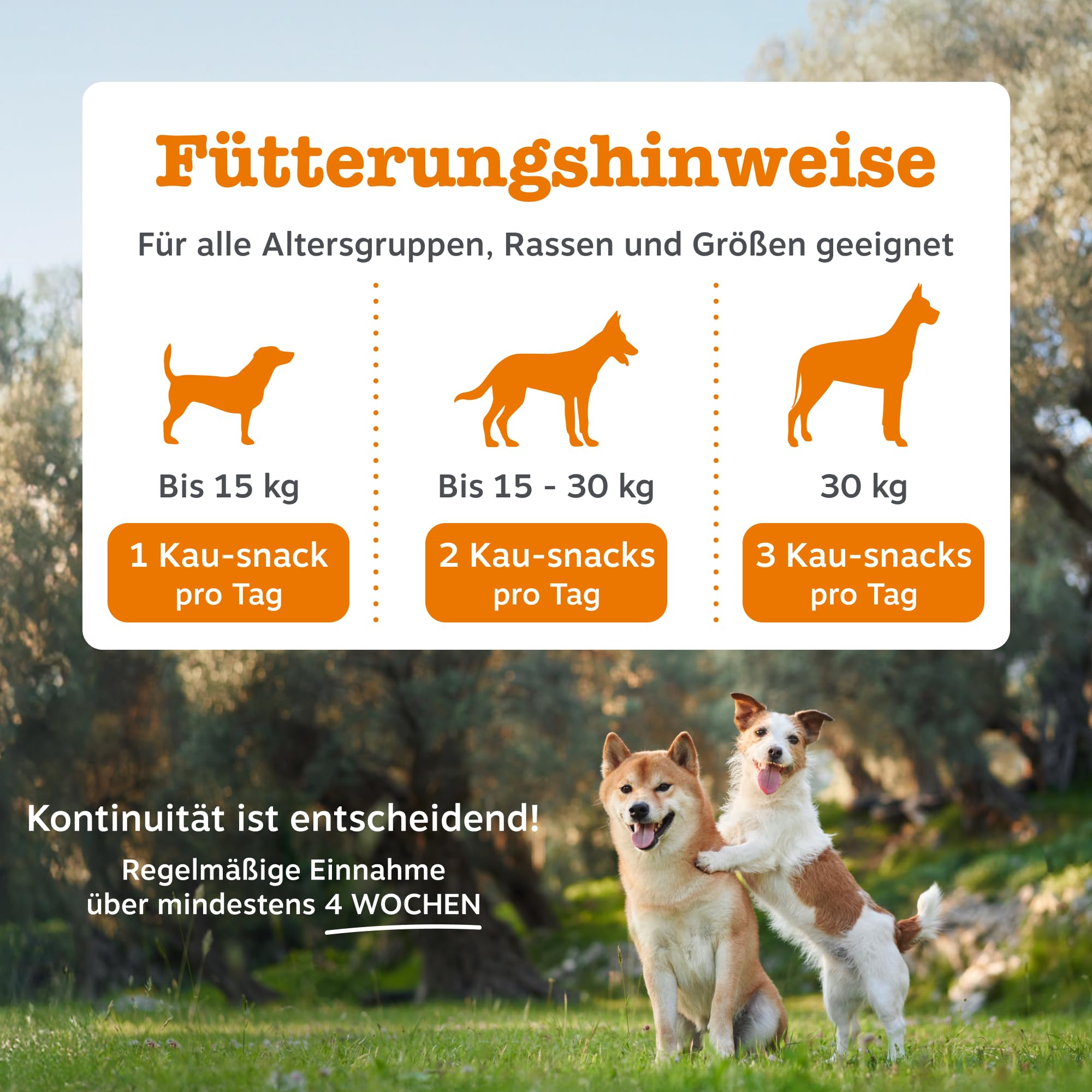 Zesty Paws Aller-Immune Chews for Dogs | Supports Immune Function, Helps Gut, Skin & Coat Health, For Itchy, Dry Skin | Contains Salmon Oil, Prebiotics, Probiotics, Vitamin A | Daily Use | 90 Chews