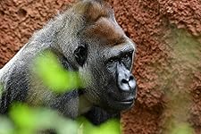 Review Image by Steven Steinberger Steven Steinberger