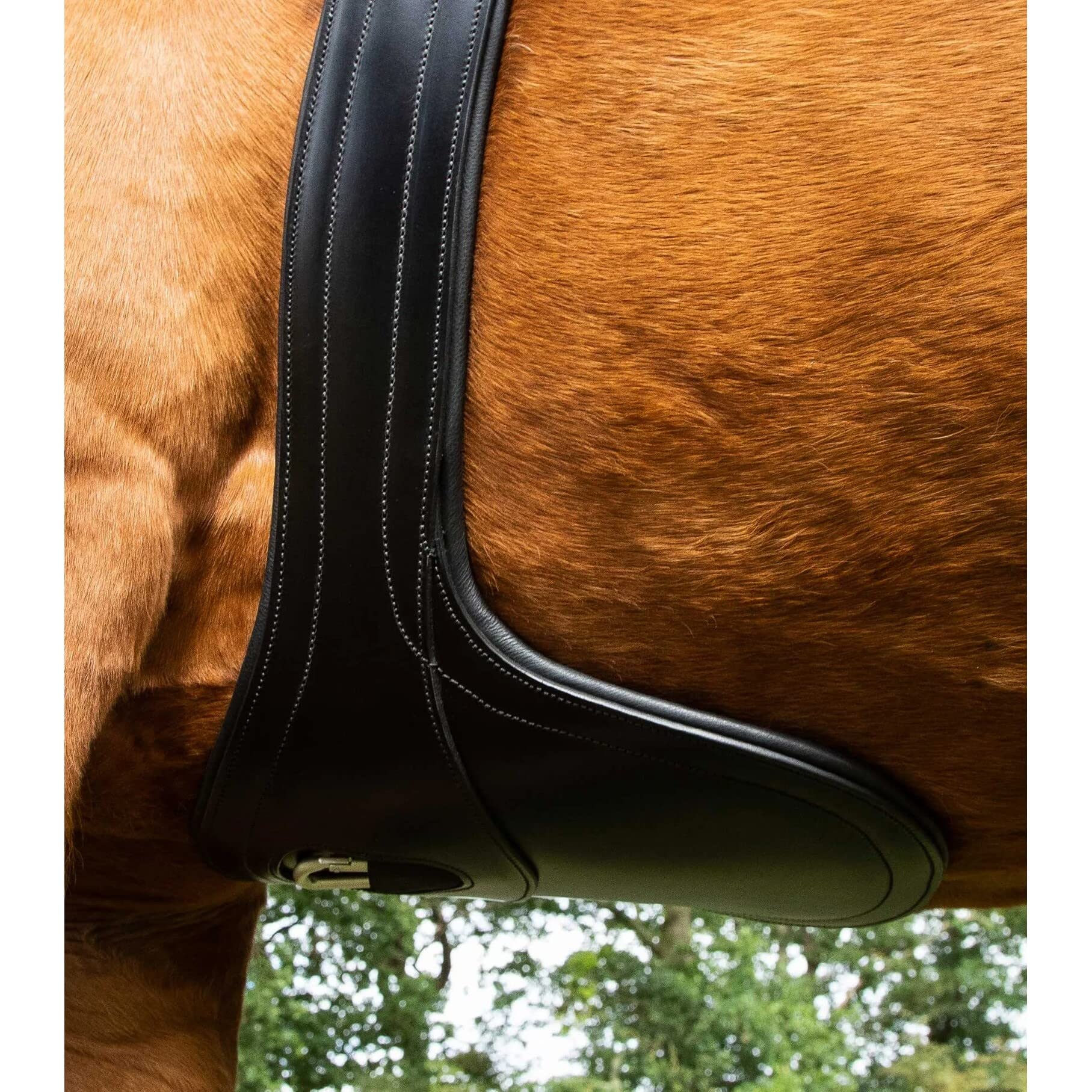 Premier Equine Cincha de equitación anatómica de Cuero Lizzano