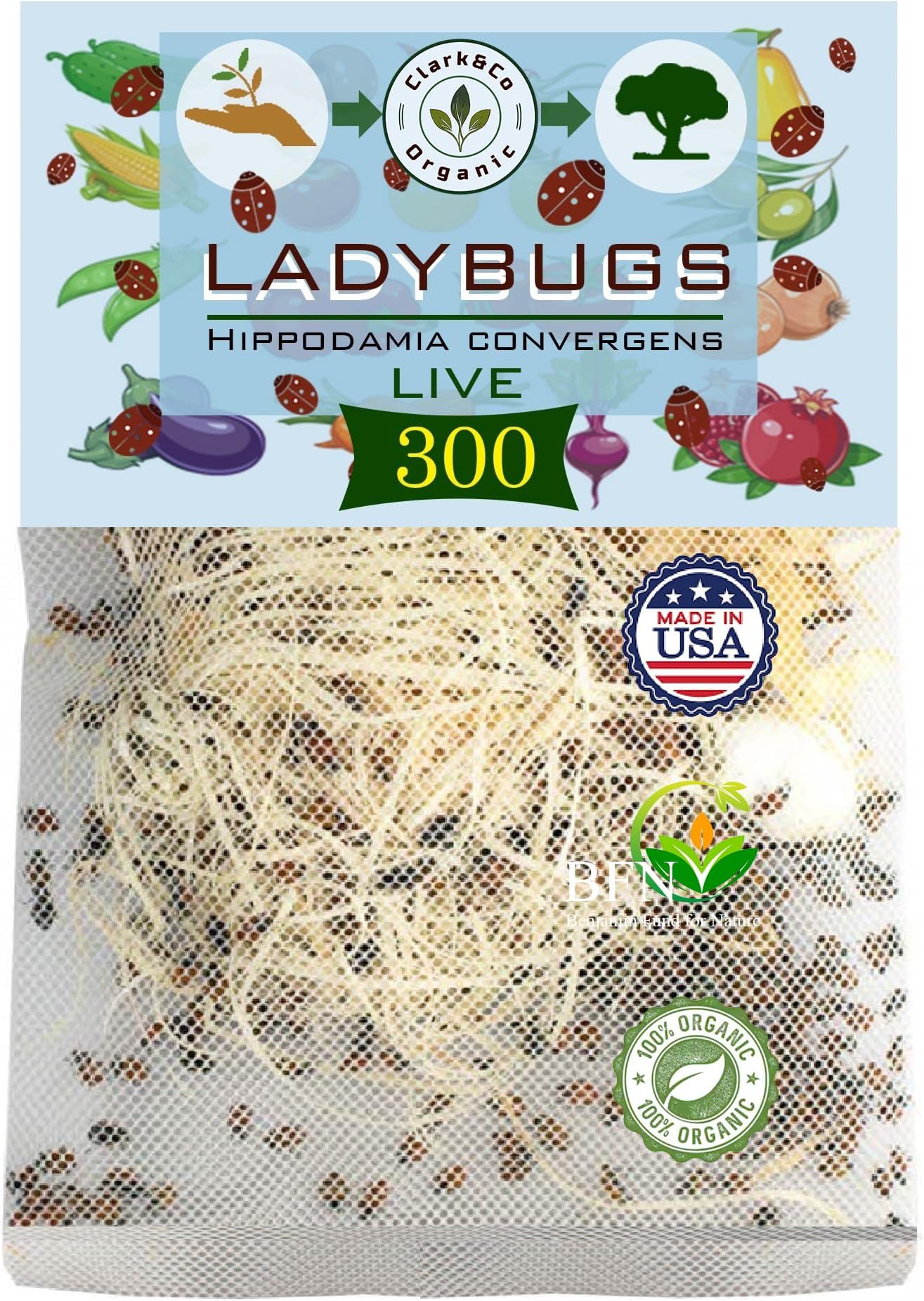 Live Ladybugs - Good Bugs for Garden - Hippodamia Convergens - Guaranteed Live Delivery!… (Ladybugs, 300, Count)