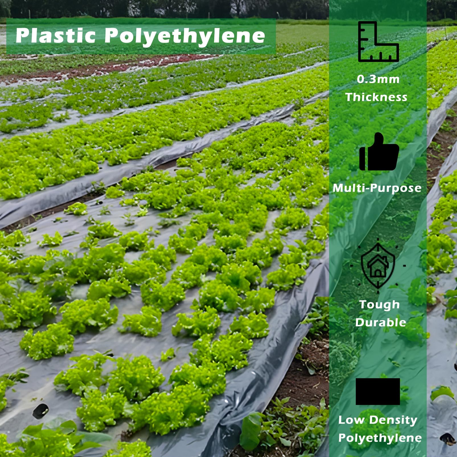 Telo Serra Nero 2 x 10M - Telo Protettivo per Serra - Resistente agli Strappi Extra Spesso - Copertura in Plastica Serra del Polytunnel Protezione del Giardino per Piante