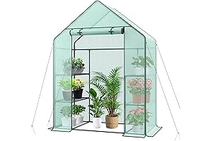 3 Tier Walk-In Green House: Gardening Marvel
