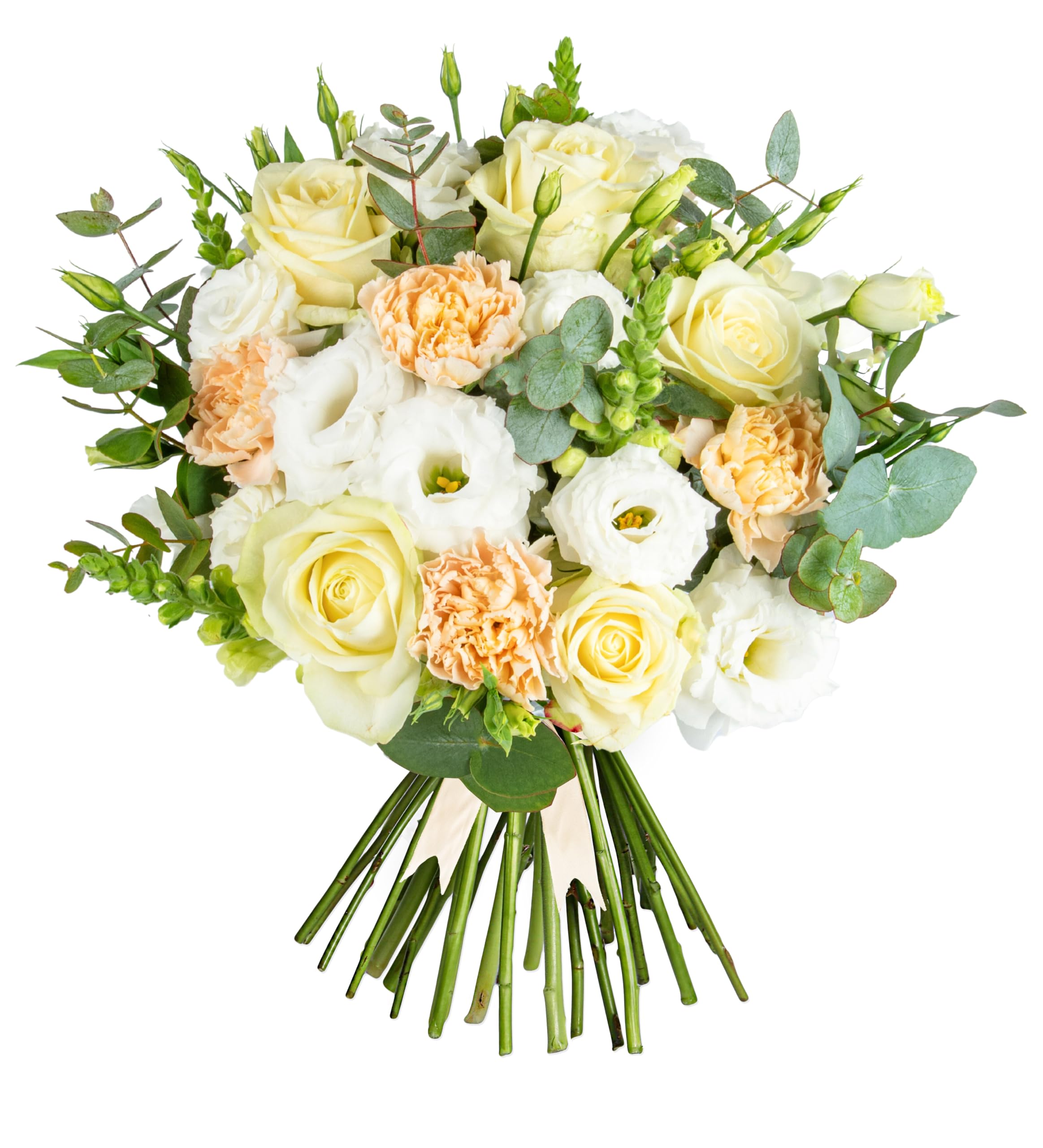 Pure Delight - Next Day Prime Delivery - Avalanche Roses, White Snapdragons and Eustoma - A Stunning Gift Any Occasion - Brighten someone's day with flowers (Large)