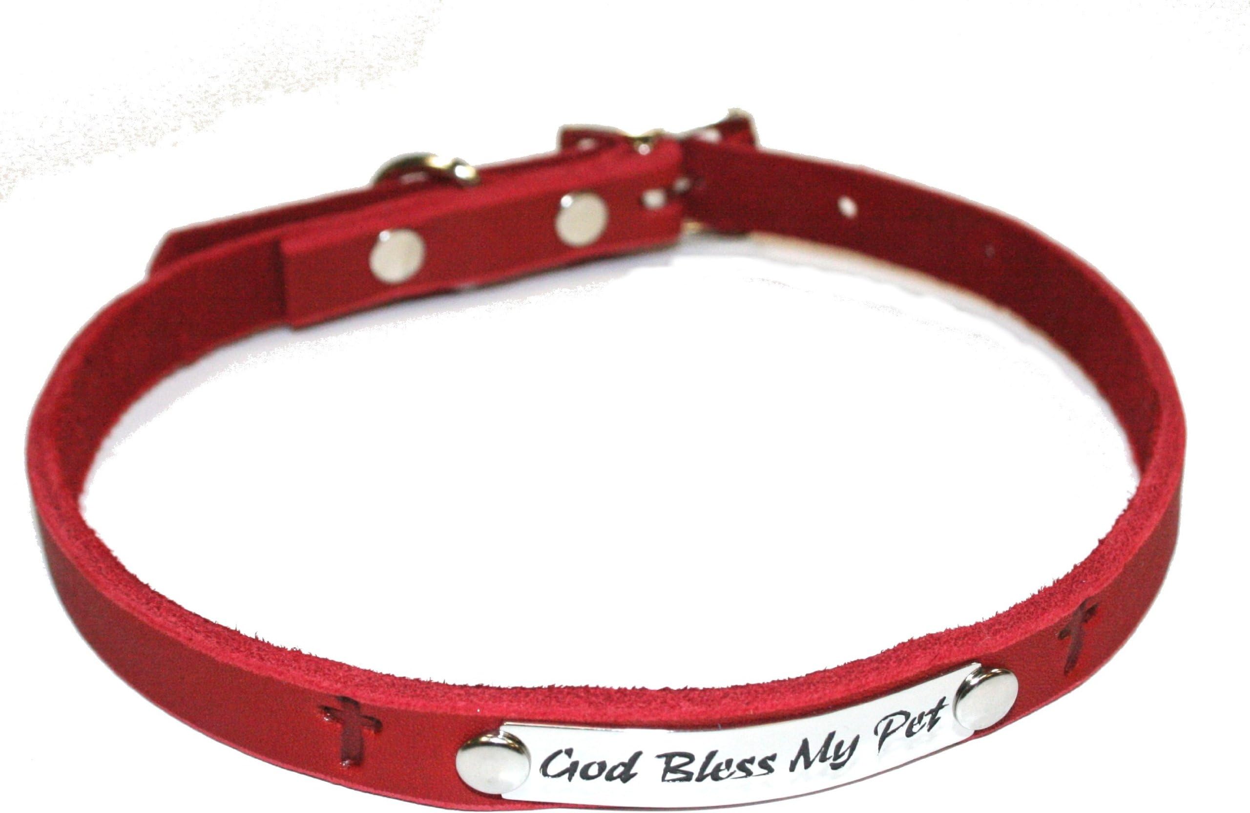 Auburn Leather 41-8155-91 Ark Survivor Series Red 1/2" x 18" Collar with Engraved Plates