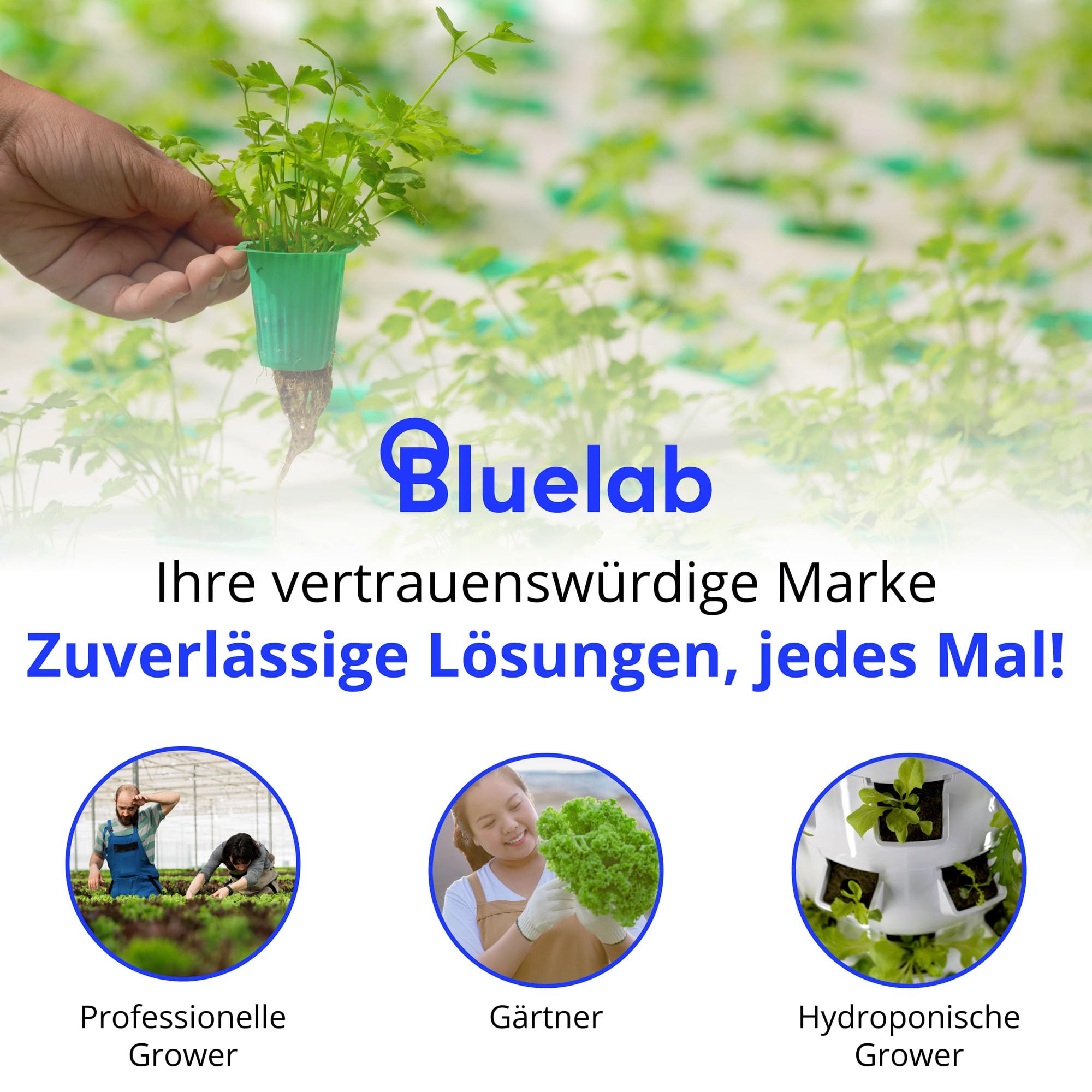 Bluelab PENSTP pH- und Leitfähigkeits-Starterpaket - Präzisions-Nährlösungsmanagement-Kit mit Temperaturmessung, wasserfeste Pens und Sondenpflege-Kit