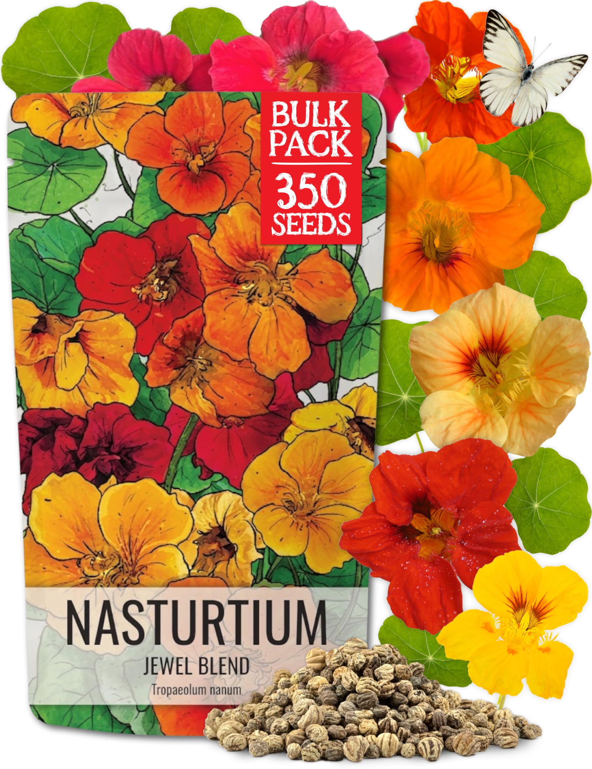 Nasturtium Jewel Mix