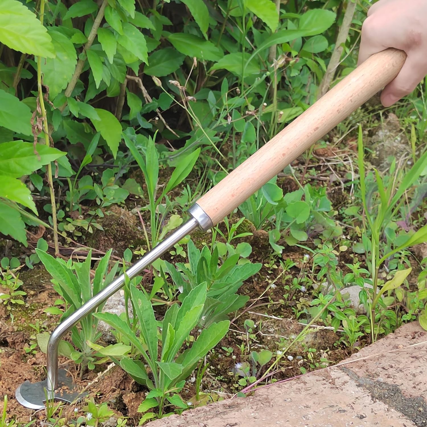 REDBUILD® Garden Weeding Tool with Wooden Handle || Weeder Hand Tool 4 Claws || High Carbon Steel || Manual Weed Puller for Lawn and Garden || Gardening Tools || Weed Removal Tool (Stainless Steel) - Image 6 thumbnail