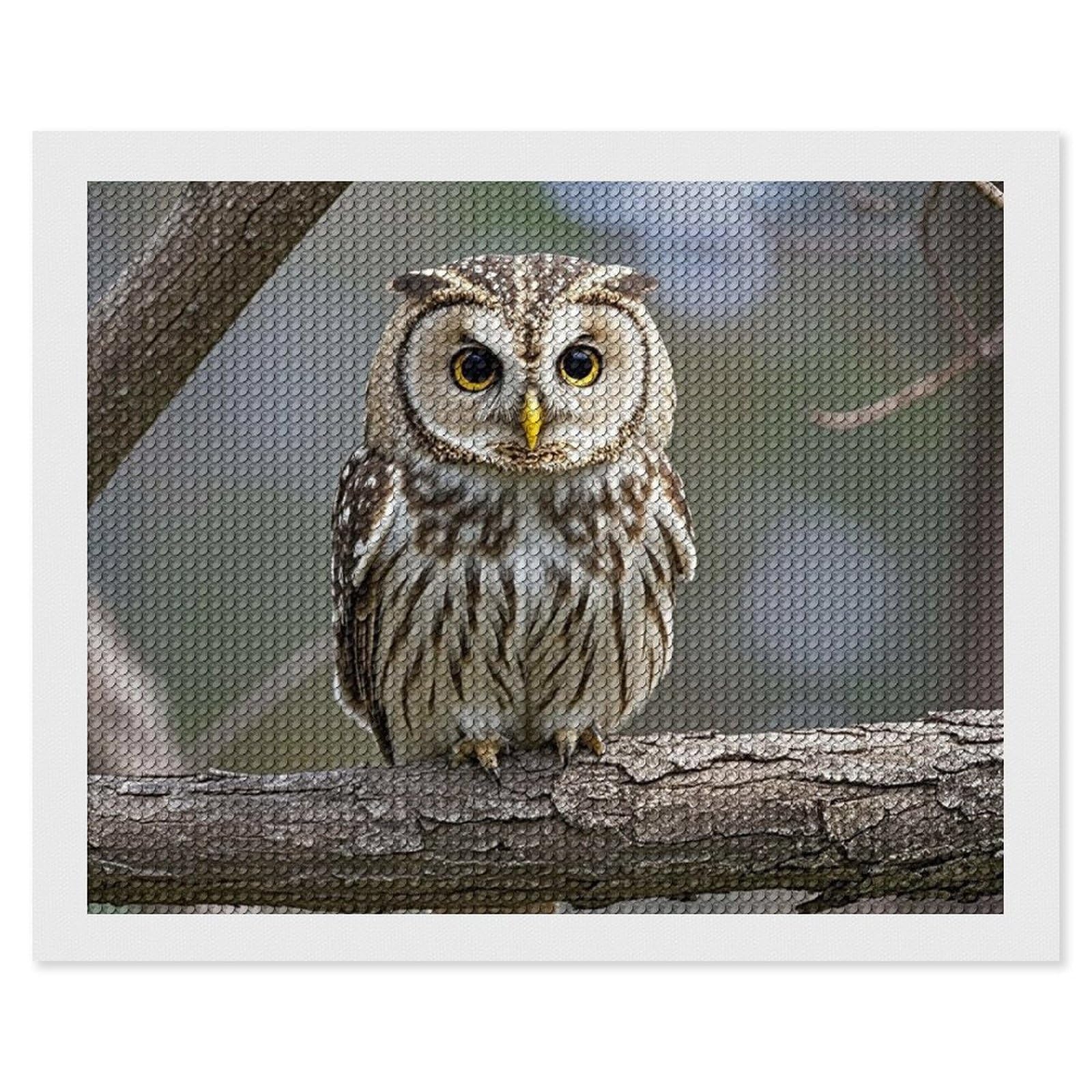 Cute Owl Diamond Painting Kits for Adults, DIY 5D Diamond Painting Kits for Beginners, Round Full Drill Diamond Dots Paintings, Diamonds Pictures Gem Art for Crafts Home Decor 16"x20"