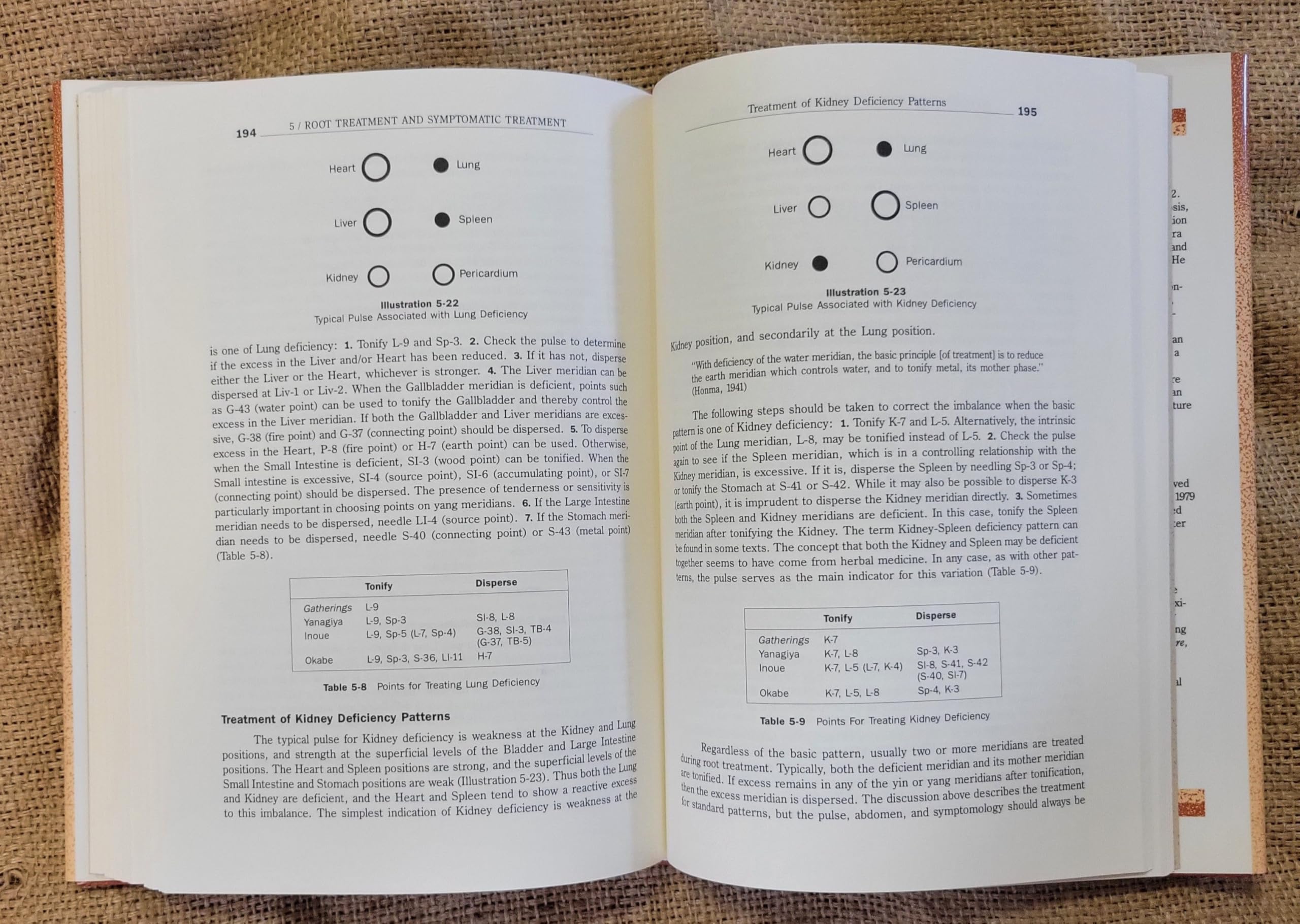 Japanese Classical Acupuncture: Introduction to Meridian Therapy