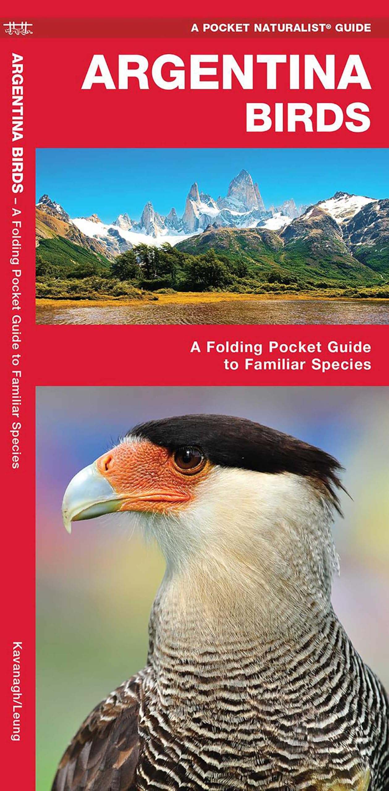 Argentina Birds: A Folding Pocket Guide to Familiar Species (Pocket Naturalist Guide) (Wildlife and Nature Identification) (Nature Observation International)