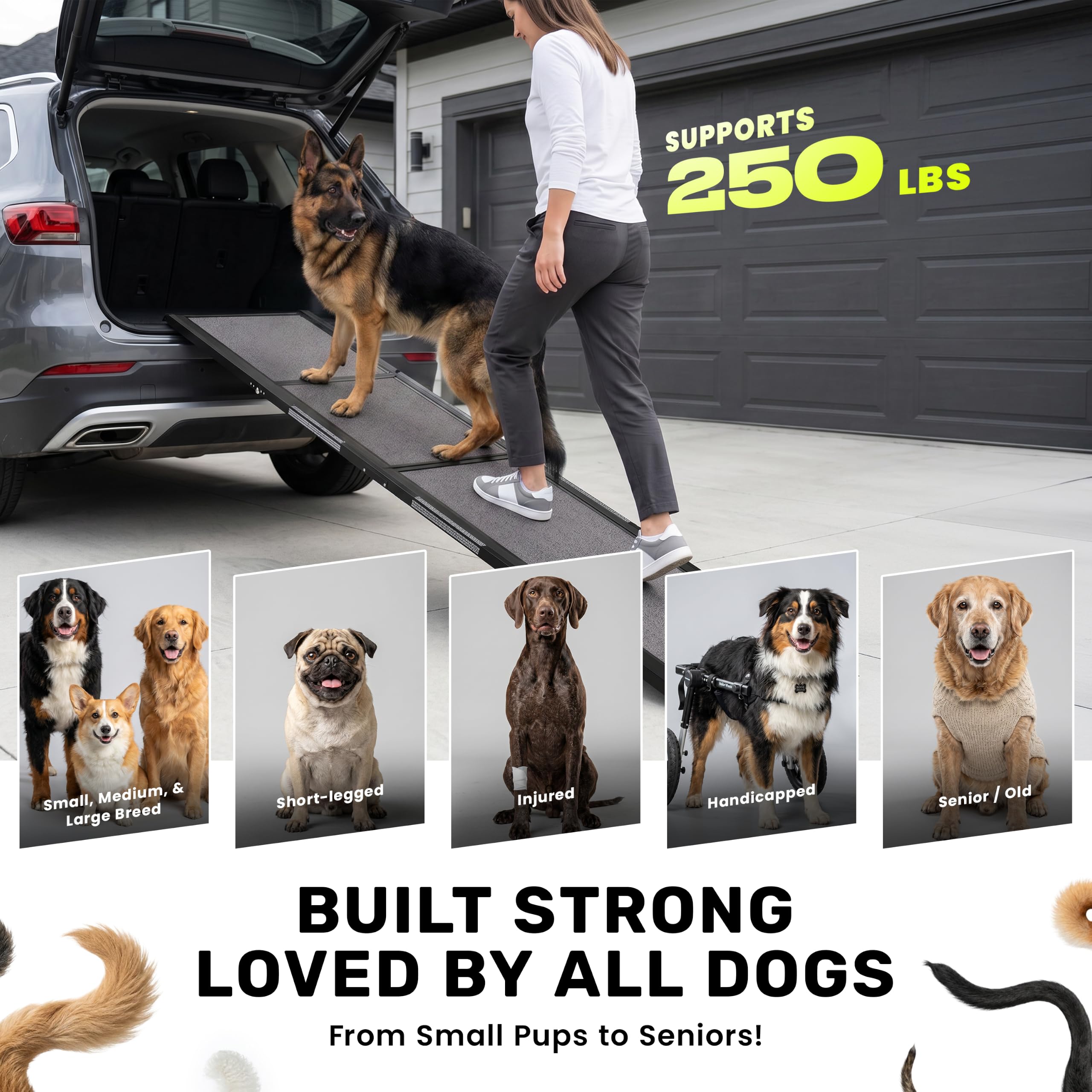 Rampa portatile per cani per auto, rampa pieghevole per auto, per camion, SUV, letto alto e divano con piedini antiscivolo e tappeto di trazione, per razze da piccole a grandi (160 cm di