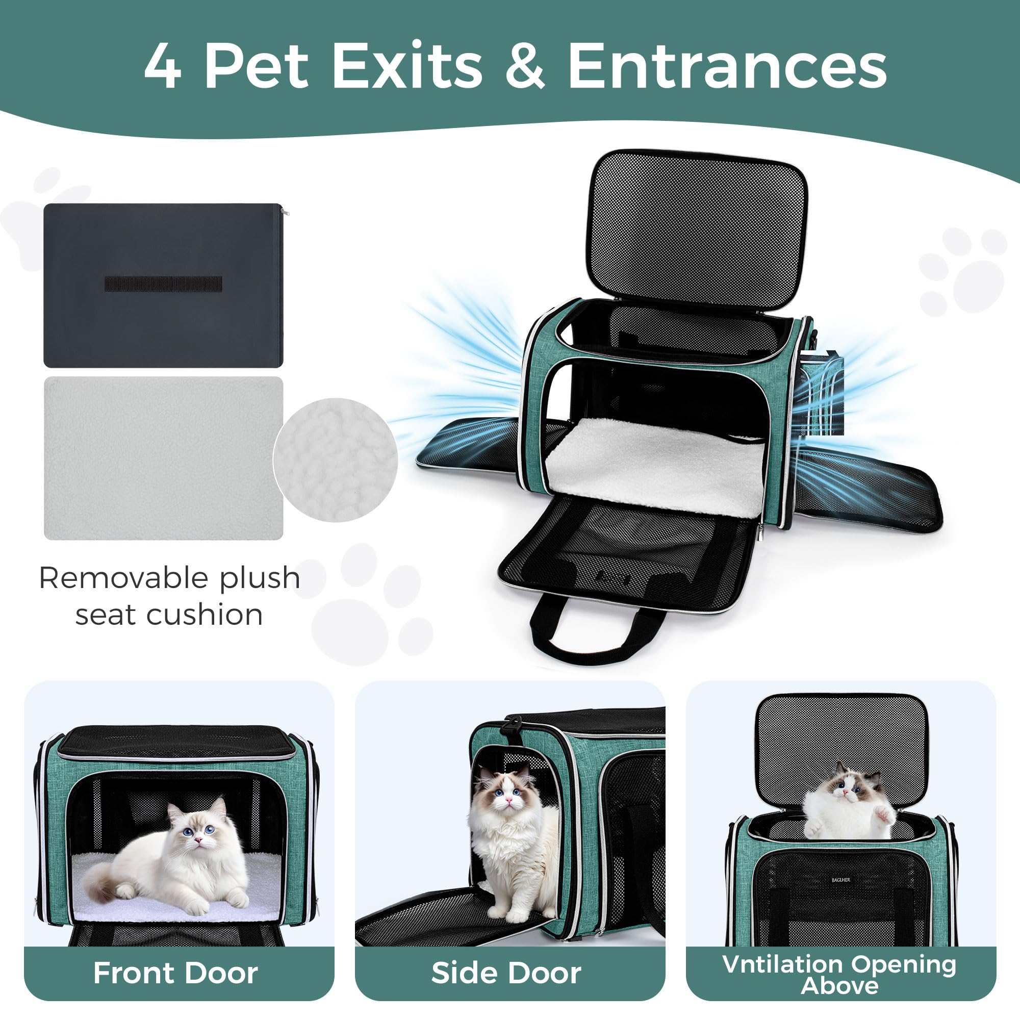 BAGLHER Pet Travel Carrier, Cat Carriers Dog Carrier for Small Medium Cats Dogs Puppies, Airline Approved Small Dog Carrier Soft Sided, Collapsible Puppy Carrier. Green - image 4