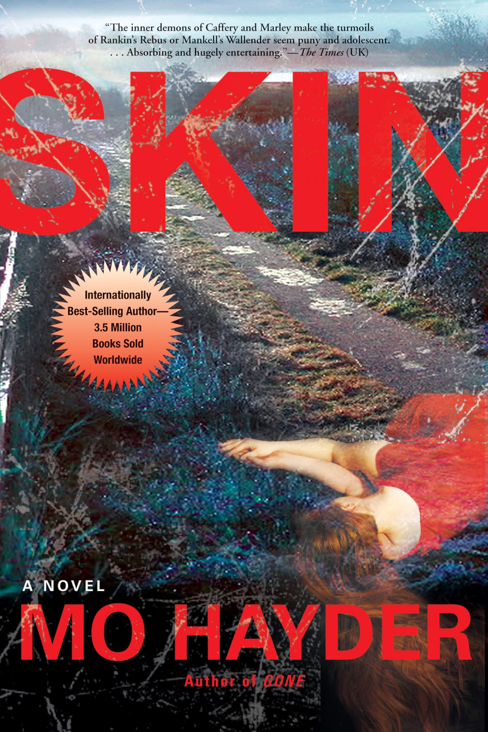 Skin (Jack Caffery/Walking Man Series, 2)