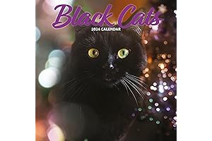 Black Cats 2024 Calendar