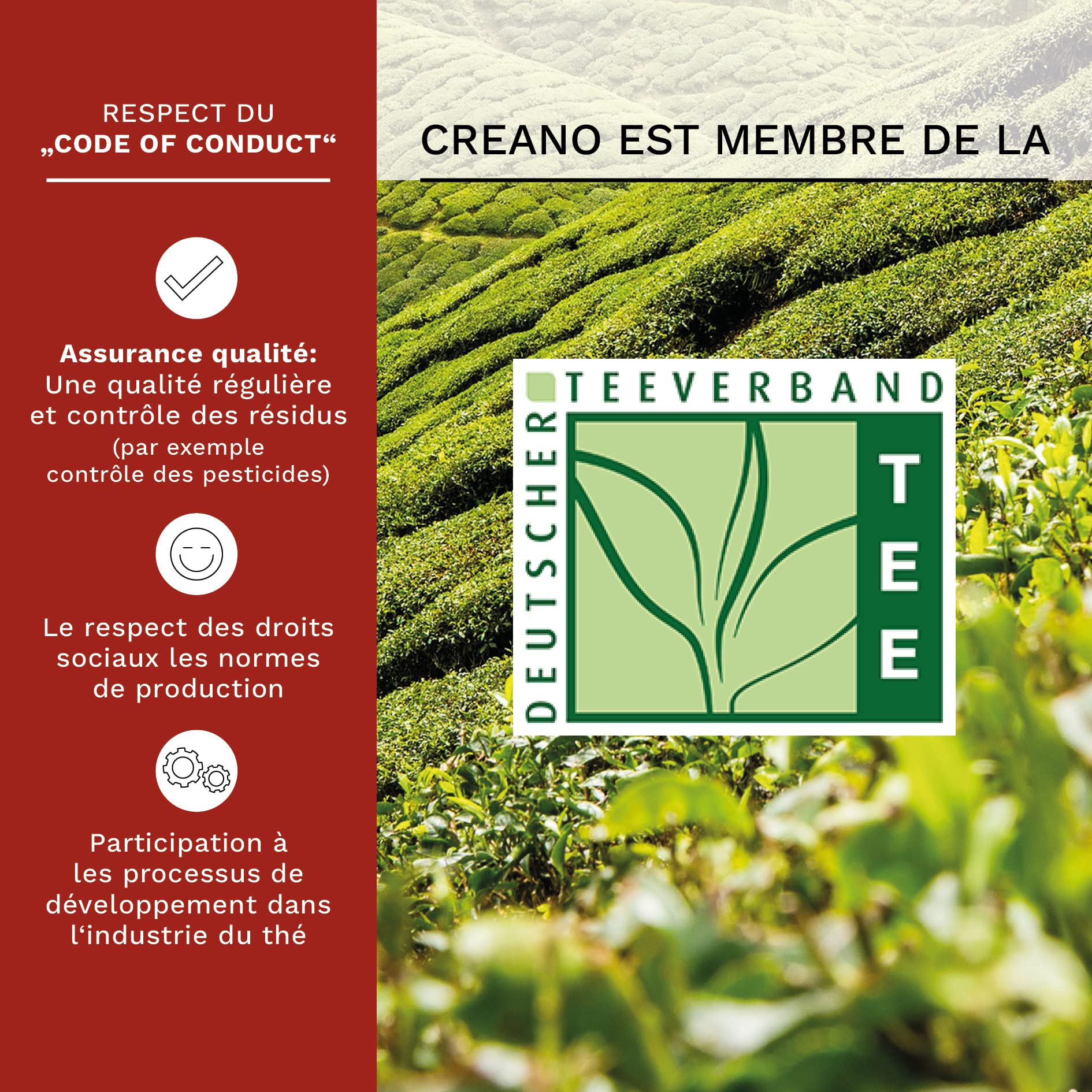 Creano Set Cadeau Complet composé d'une Théière soufflée à la bouche sans goutte avec 6 Fleurs de Thé et eine Boîte en Bois avec 12 Fleurs de Thé supplémentaires – Thé en Fleurs