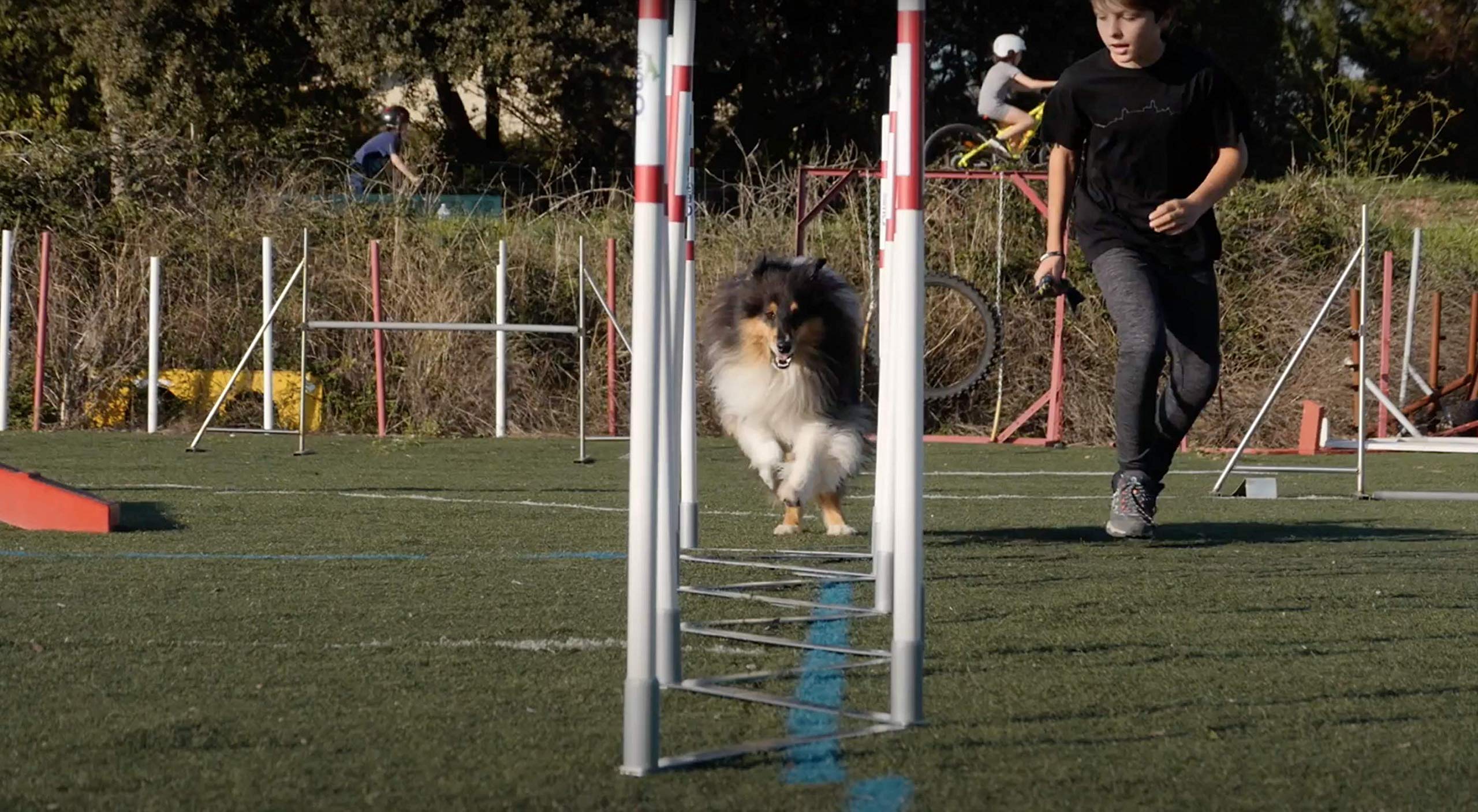 Animo Concept Slalom Akcesoria Treningowe, Biały/Czerwony, 150 cm